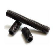 M6 Setskur Çeşitleri