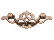 Özsan Özlem Sallama  Antik Bakır 64 mm